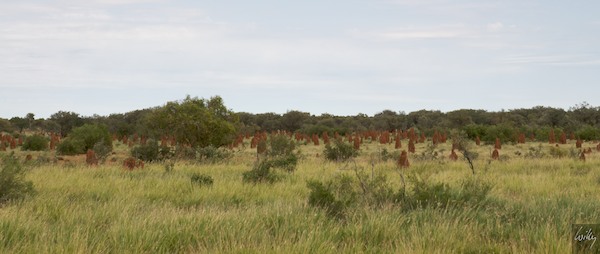 AustraliaAdelaide 10  083